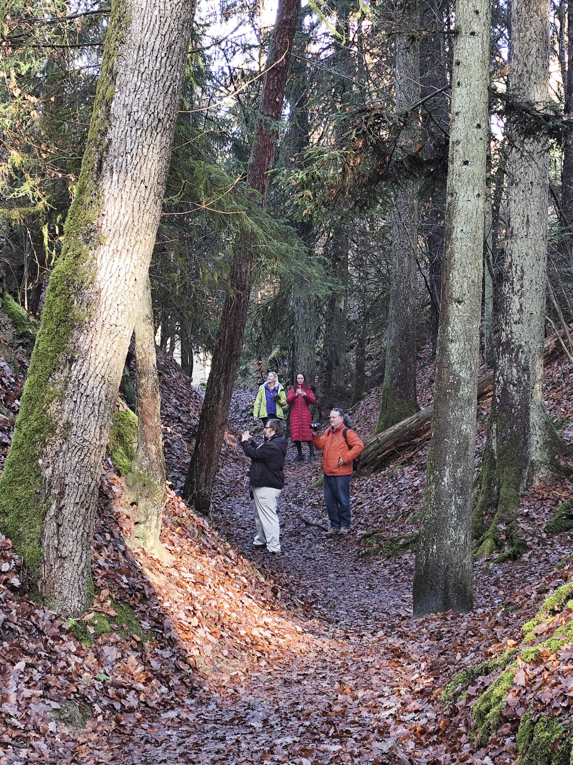 20251129121119 IMG 20251129 121119